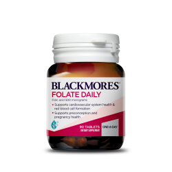 Blackmores Folic Daily 90t